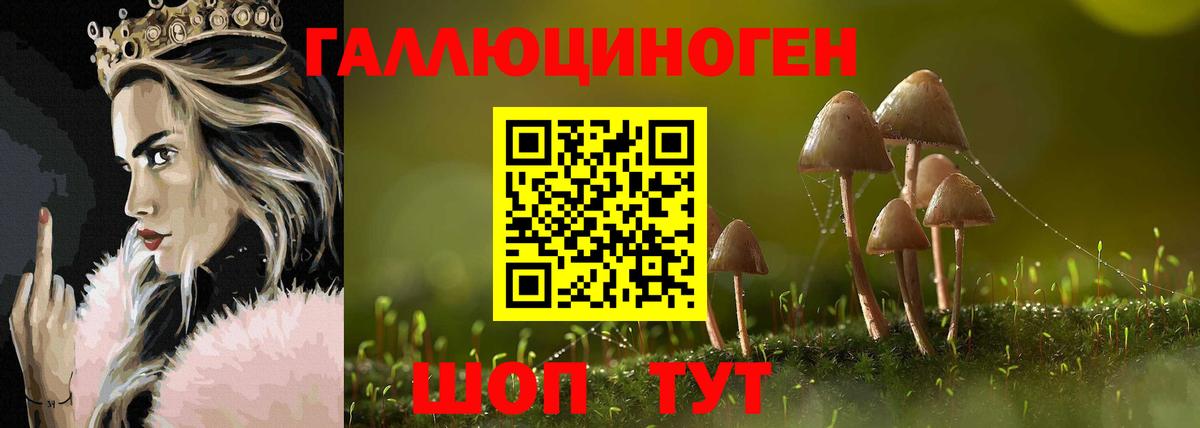 Галлюциногенные грибы GOLDEN TEACHER  Вход с VPN  Киров 